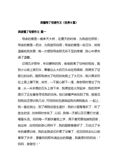 我懂得了母爱作文(优秀6篇)