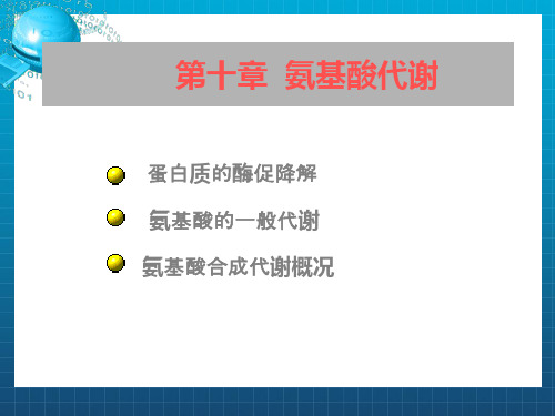 十一蛋白质降解及氨基酸代谢ppt课件