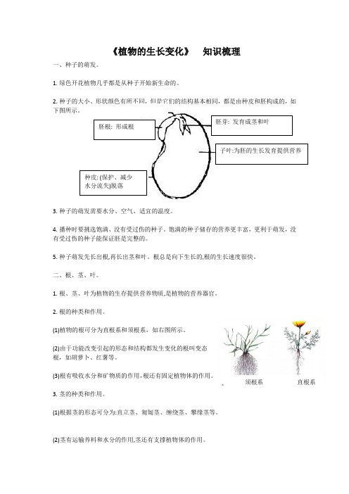 四下《植物的生长变化》知识点