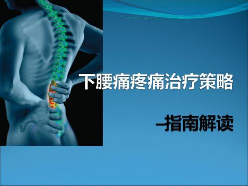 成都骨科会议幻灯片下腰痛疼痛治疗策略PPT课件
