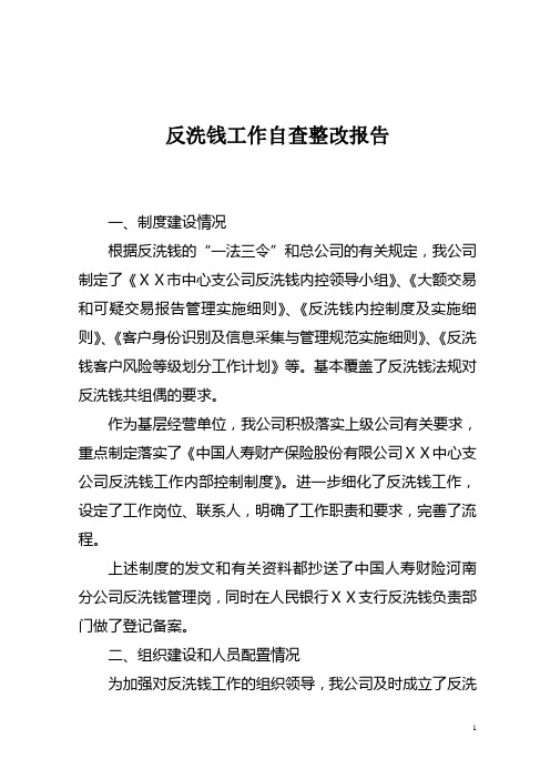 保险公司反洗钱工作自查整改报告