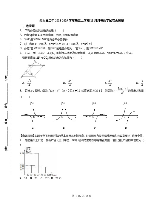 无为县二中2018-2019学年高三上学期11月月考数学试卷含答案