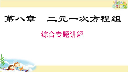 人教版数学七年级下册 二元一次方程组 专题