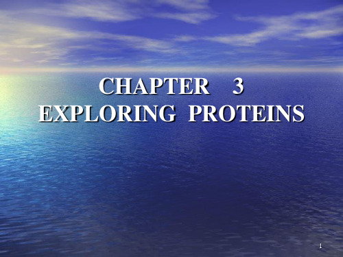 biochemistry chapter3PPT课件