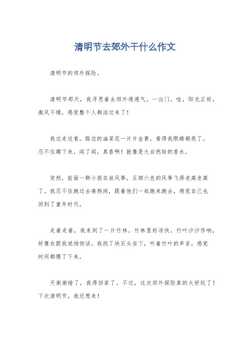 清明节去郊外干什么作文