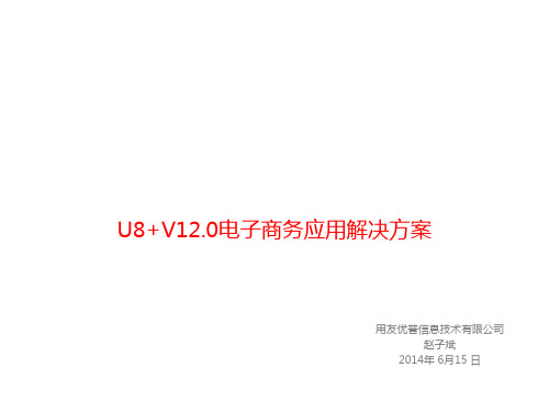 电子商务-U8V120电子商务应用解决方案 精品