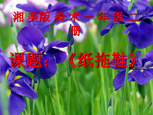 (完整)一级下美术课件纸拖鞋湘美版3精品PPT资料精品PPT资料