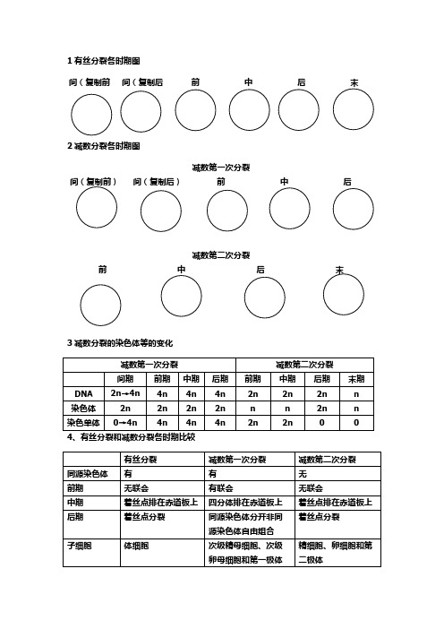 减数分裂背诵答案