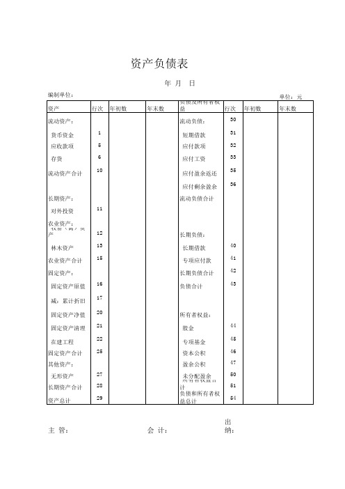 农村合作社资产负债表