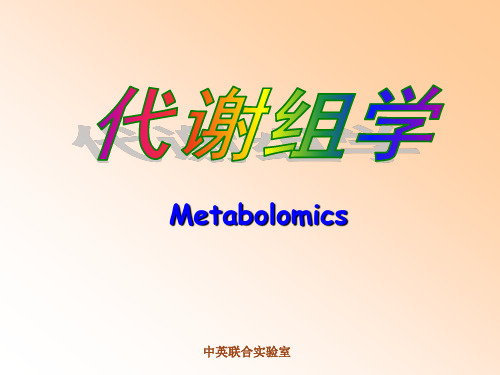 代谢组学.ppt