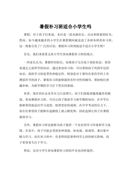 暑假补习班适合小学生吗