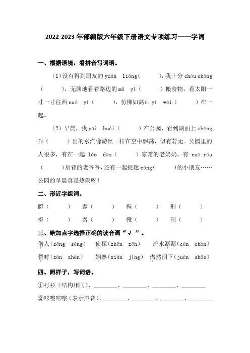 2022-2023年部编版六年级下册语文专项练习——字词