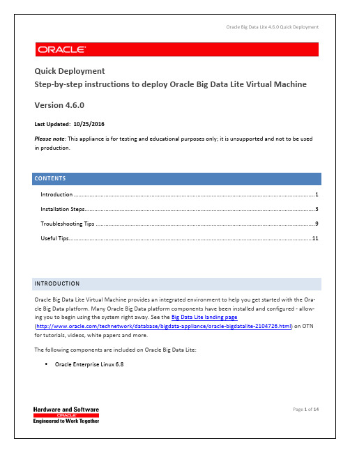 Oracle Big Data Lite 4.6.0 快速部署指南说明书