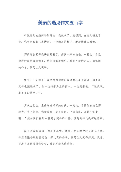 美丽的遇见作文五百字