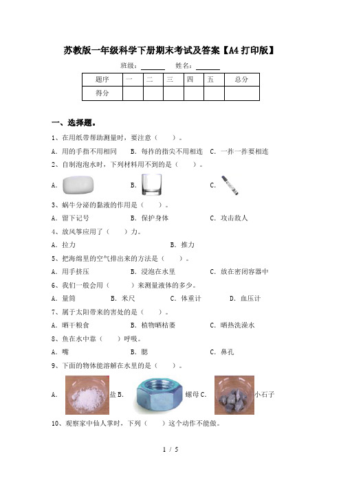 苏教版一年级科学下册期末考试及答案【A4打印版】