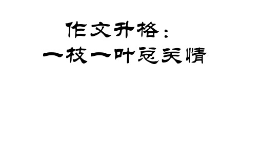 初中作文指导：作文升格：一枝一叶总关情优秀课件