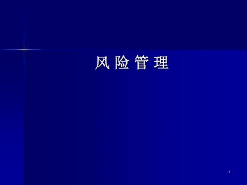 风险管理风险管理概述-文档资料