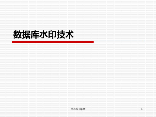 数据库水印技术ppt课件