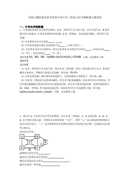 深圳大鹏街道布新学校初中部中考二轮复习化学推断题专题训练