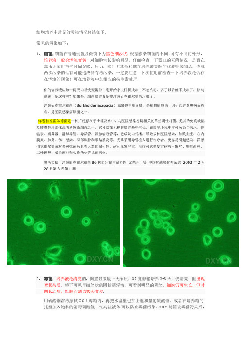 细胞污染简介(整理)