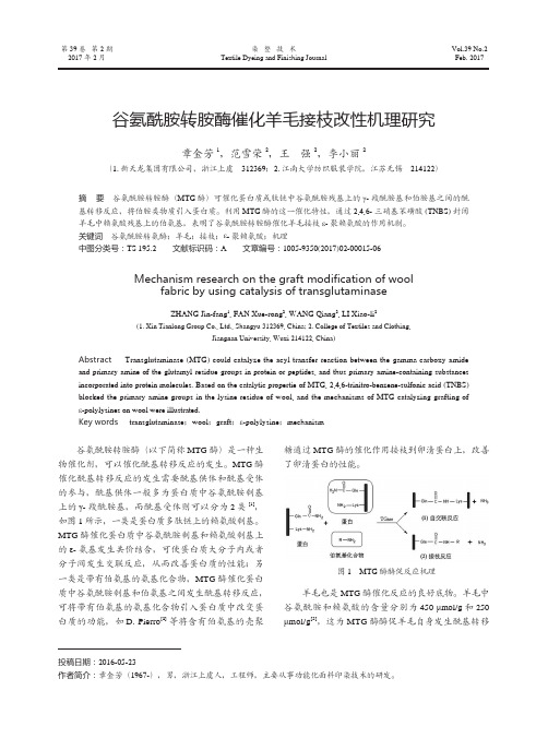 谷氨酰胺转胺酶催化羊毛接枝改性机理研究