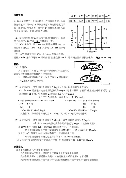 光合作用和呼吸作用的综合计算例题