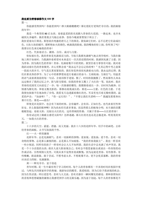 我也要为青春添彩作文600字