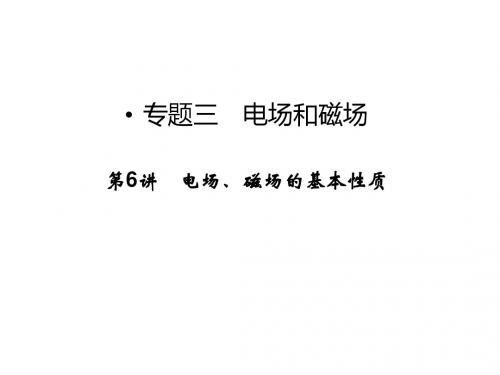 高考物理(广东专用)二轮复习课件 1-3-6 专题三 电场和磁场