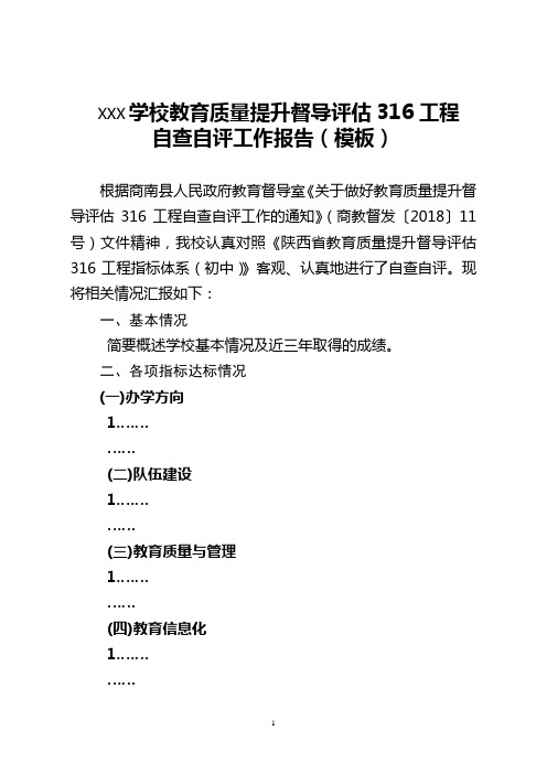 教育质量提升316督导自查自评报告(模板)