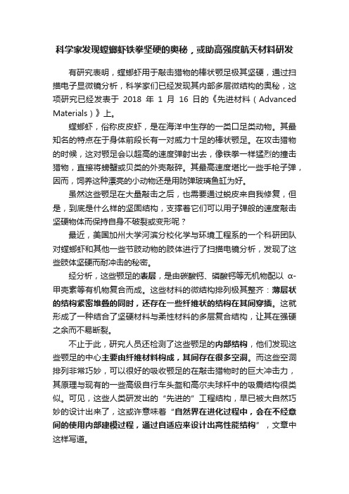 科学家发现螳螂虾铁拳坚硬的奥秘，或助高强度航天材料研发