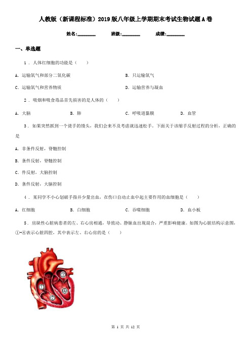 人教版(新课程标准)2019版八年级上学期期末考试生物试题A卷(模拟)