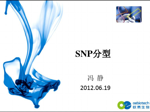 snp分型解析