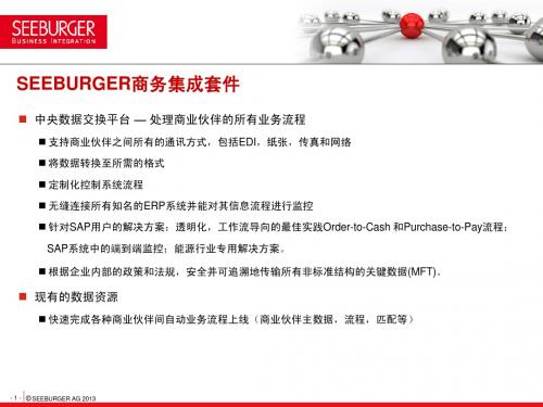 SEEBURGER 商务集成套件