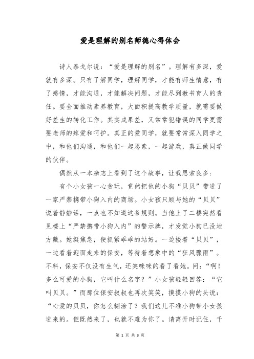 爱是理解的别名师德心得体会