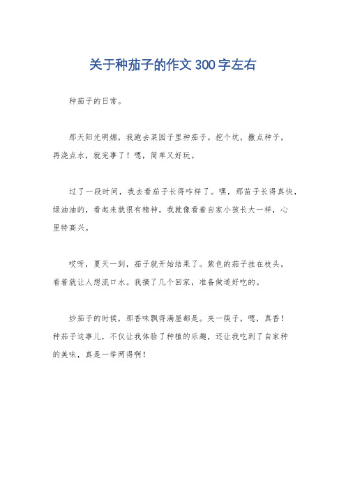 关于种茄子的作文300字左右