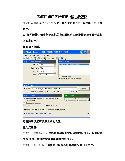 FLASH MAGIC ISP使用文档