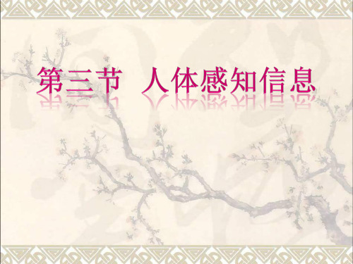 七年级生物下册 第十二章 第三节 人体感知信息课件3 (新版)苏教版