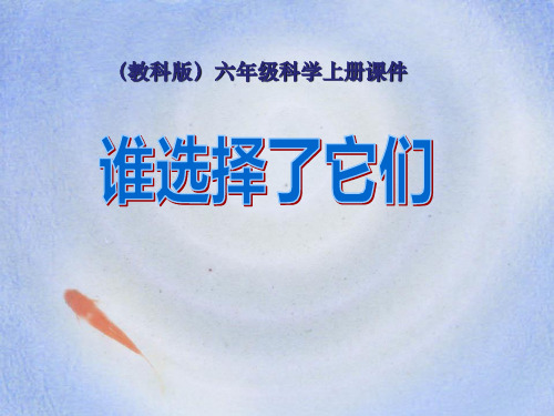 2021完整版《谁选择了它们》生物的多样性PPT课件5