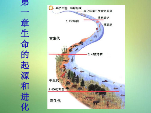 济南版生物八年级下册《生命的起源》