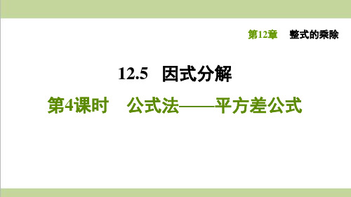 华师大版八年级上册数学 12.5.4公式法——平方差公式 重点习题练习复习课件