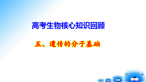 高考生物核心知识回顾：5、遗传的分子基础