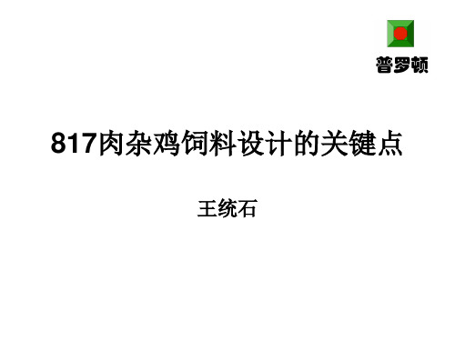 817肉杂鸡饲料设计的关键点讲解