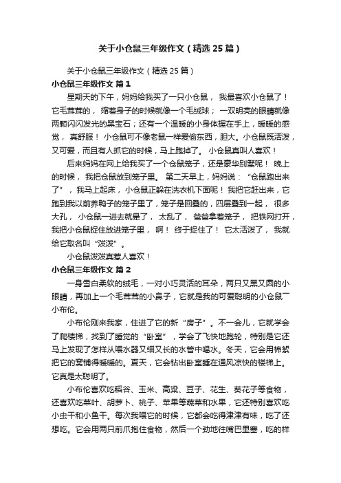 关于小仓鼠三年级作文（精选25篇）