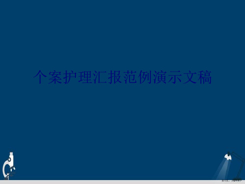 个案护理汇报范例演示文稿