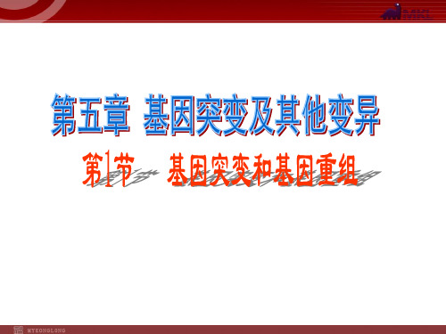 高中生物必修2第5单元课件：基因突变及其他变异