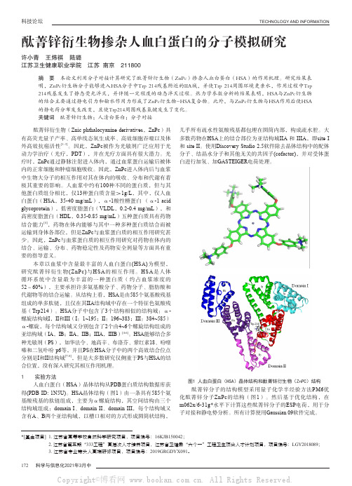 酞菁锌衍生物掺杂人血白蛋白的分子模拟研究