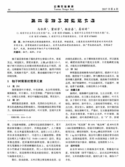 瑞丽市柚子树施肥方法