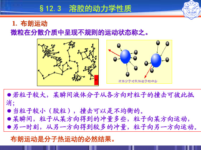 溶胶的动力学性质