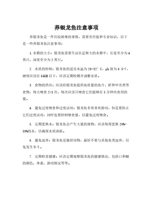 养银龙鱼注意事项