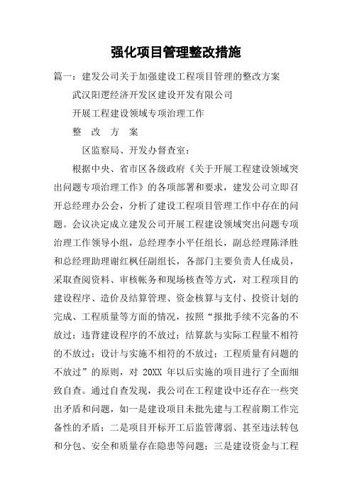 强化项目管理整改措施